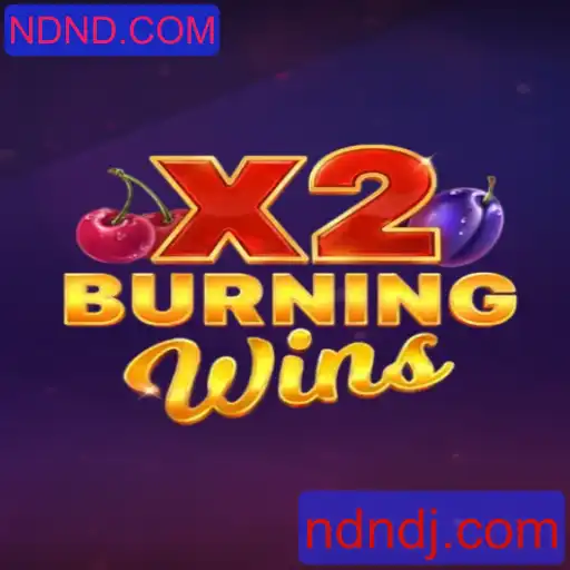 Explorando o Universo de BurningWinsX2