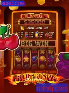 Descubra o Fascinante Mundo de FruitNovaSuper