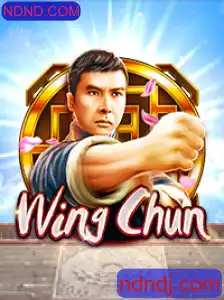 Descubra o Universo de WingChun